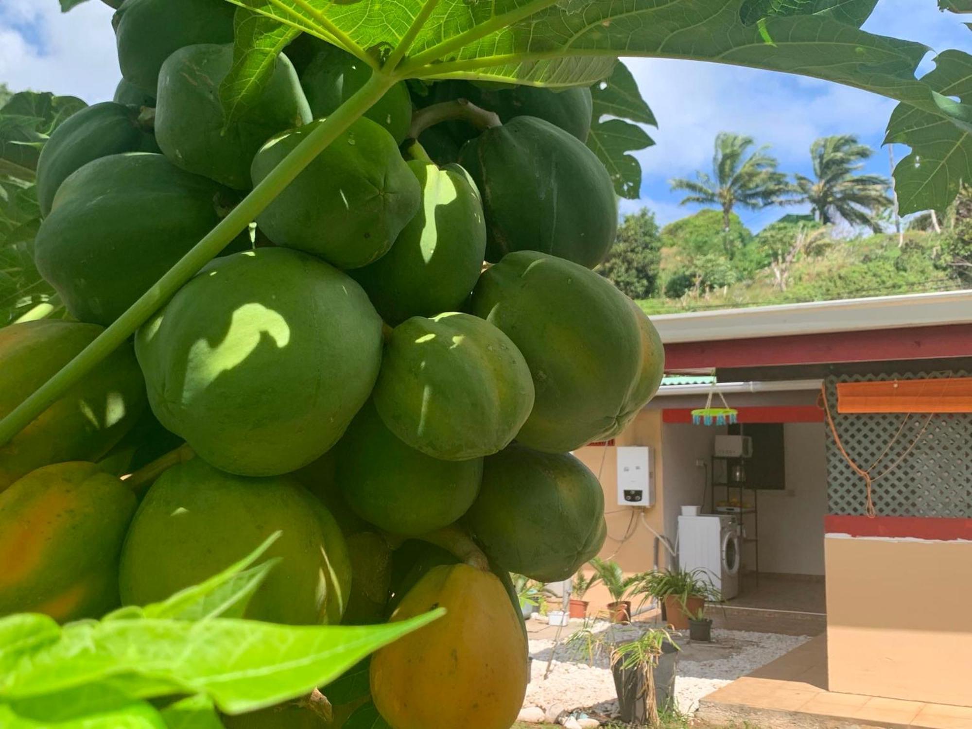 Hotel Lemon House Maroe Esterno foto